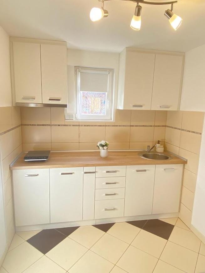 Apartman Mina Mataruska Banja Extérieur photo