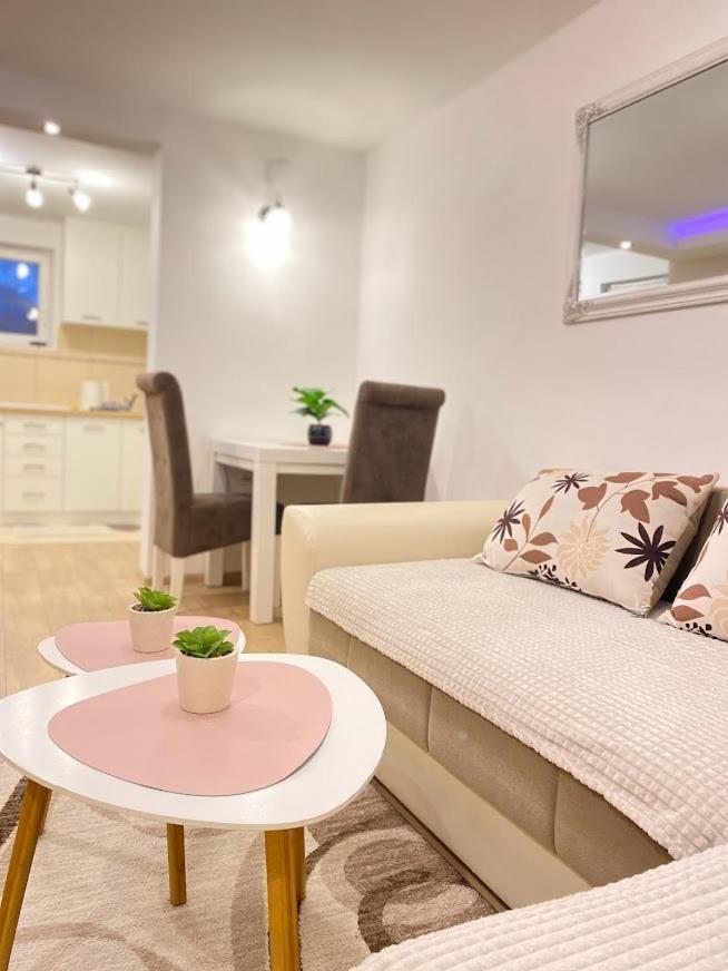 Apartman Mina Mataruska Banja Extérieur photo