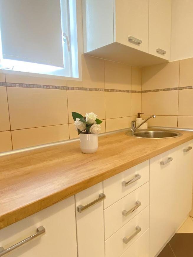 Apartman Mina Mataruska Banja Extérieur photo