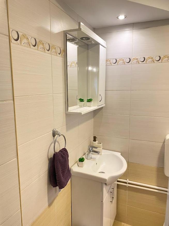 Apartman Mina Mataruska Banja Extérieur photo