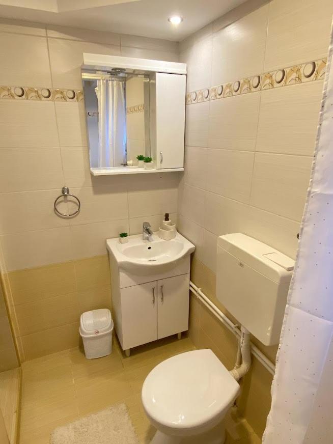 Apartman Mina Mataruska Banja Extérieur photo