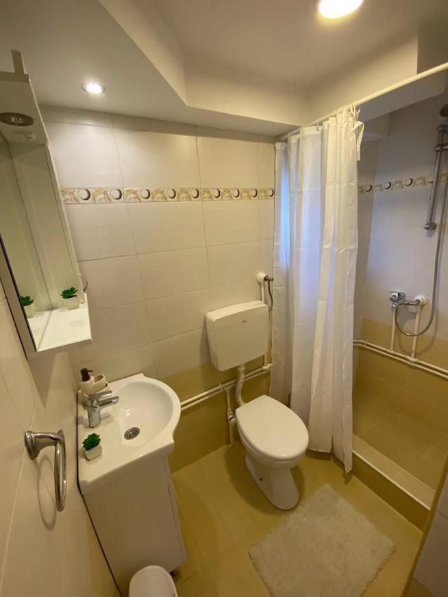 Apartman Mina Mataruska Banja Extérieur photo