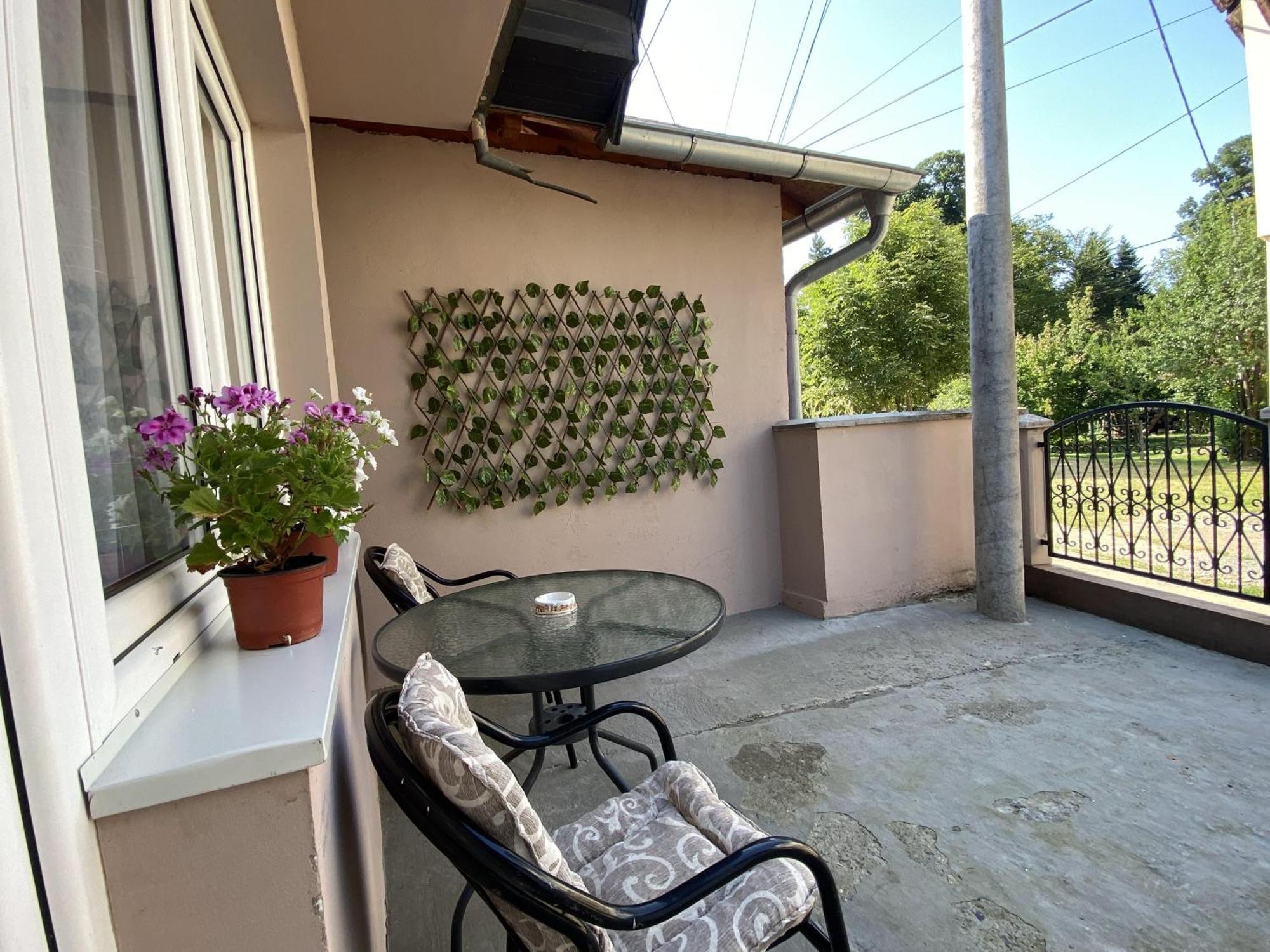 Apartman Mina Mataruska Banja Extérieur photo